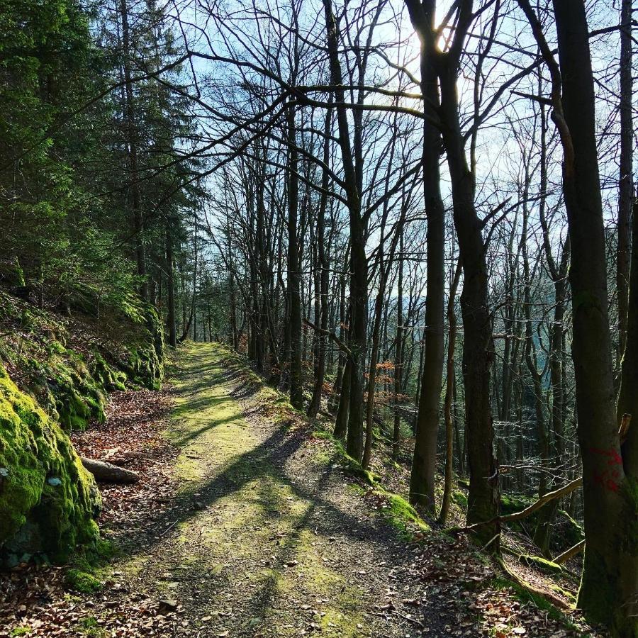 Ferienwohnung Frankenwald Naila Exteriér fotografie